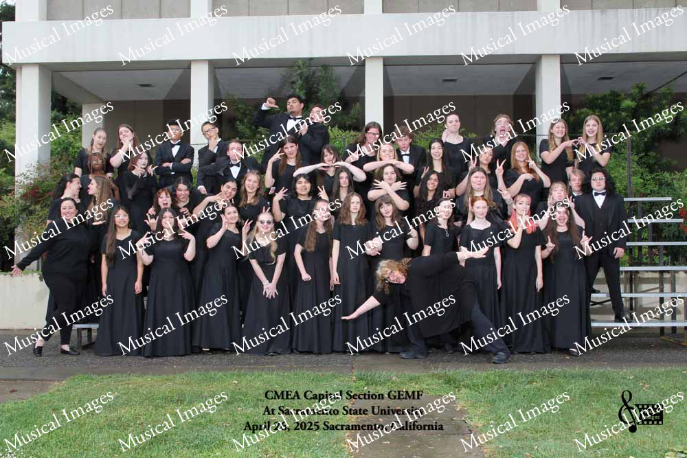 Musical Images